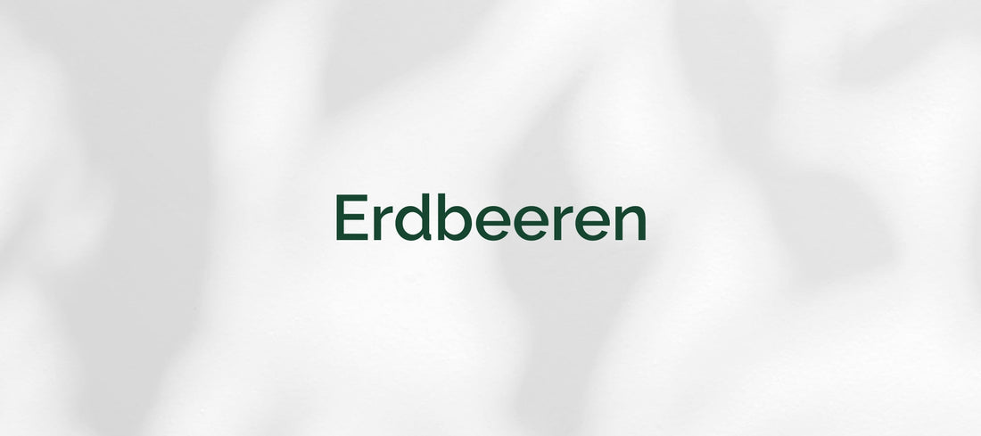 Erdbeeren (Fragaria ananassa)