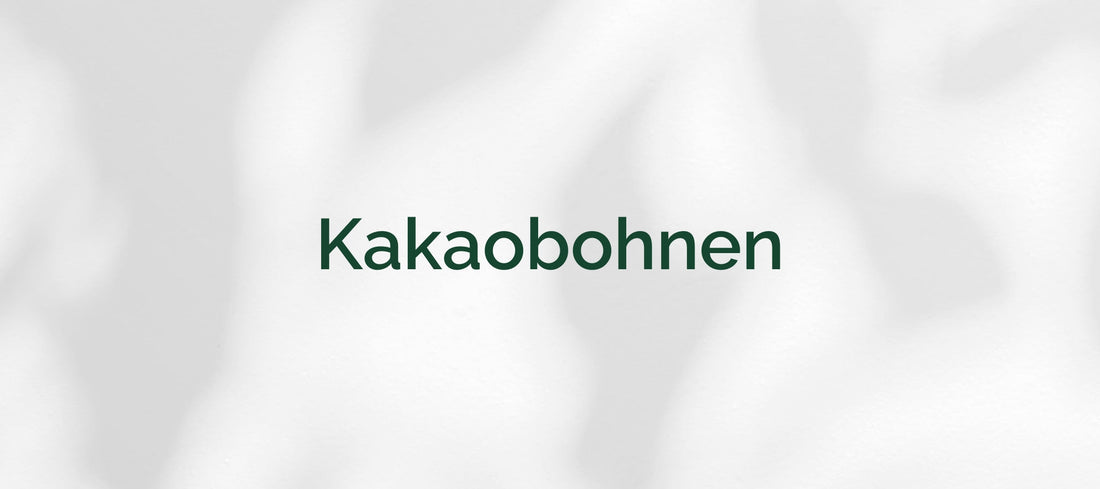Kakaobohnen