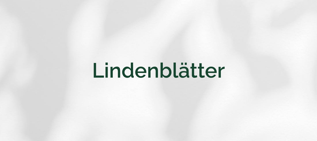 Lindenblätter