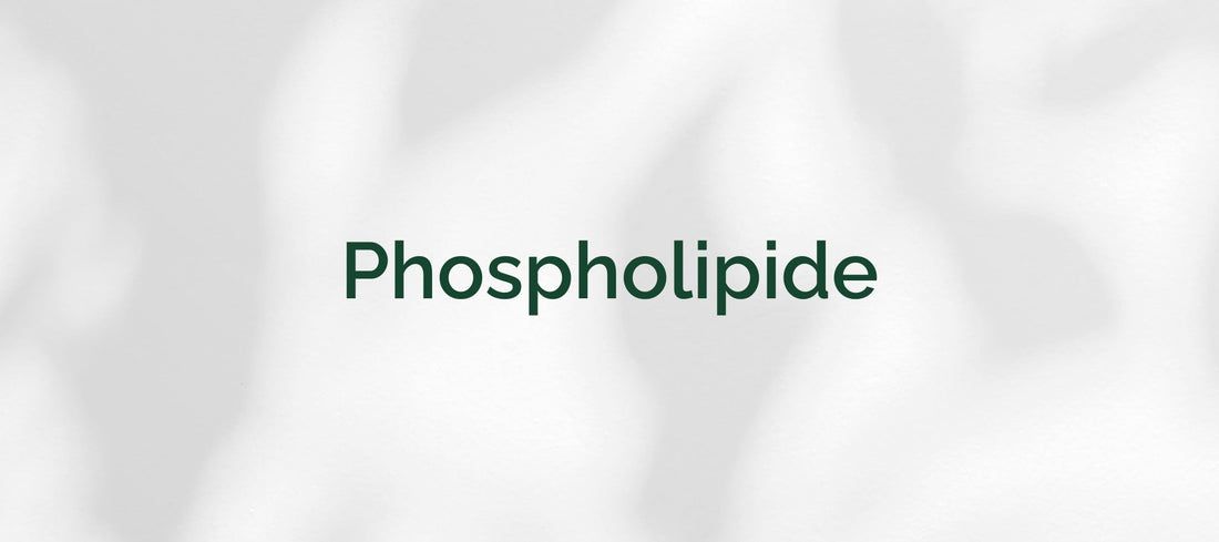 Phospholipide