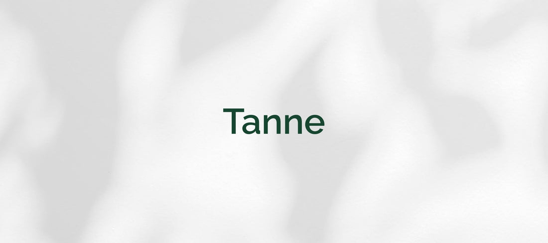 Tanne (Abies)