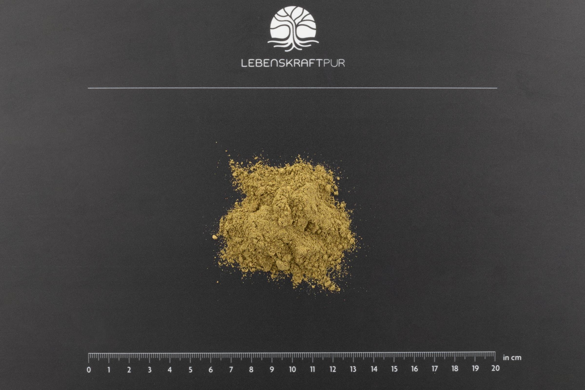 Produktbild Bio Basis Plus Pulver