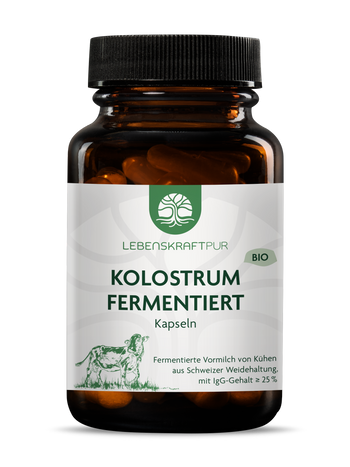 Bio Kolostrum Fermentiert Kapseln
