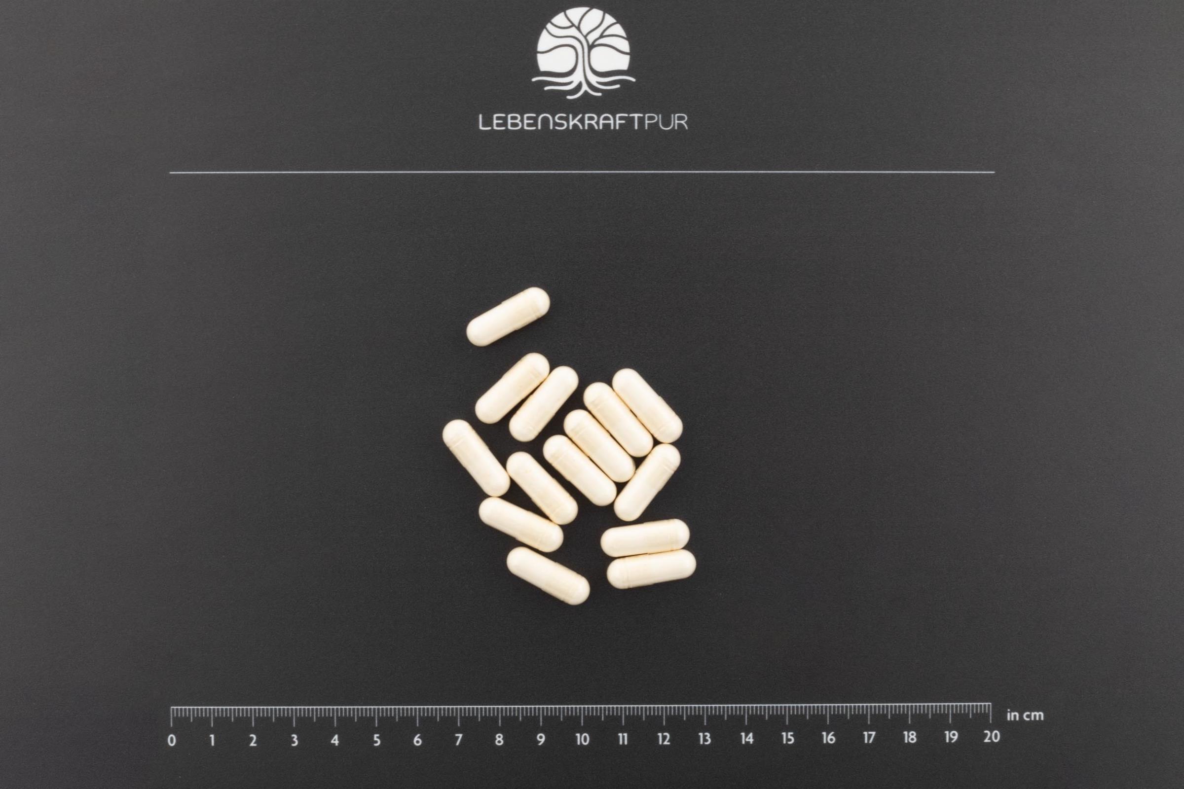 Produktbild Bio Mikrobiom Protekt Kapseln