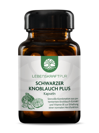 Produktbild Schwarzer Knoblauch Plus Kapseln