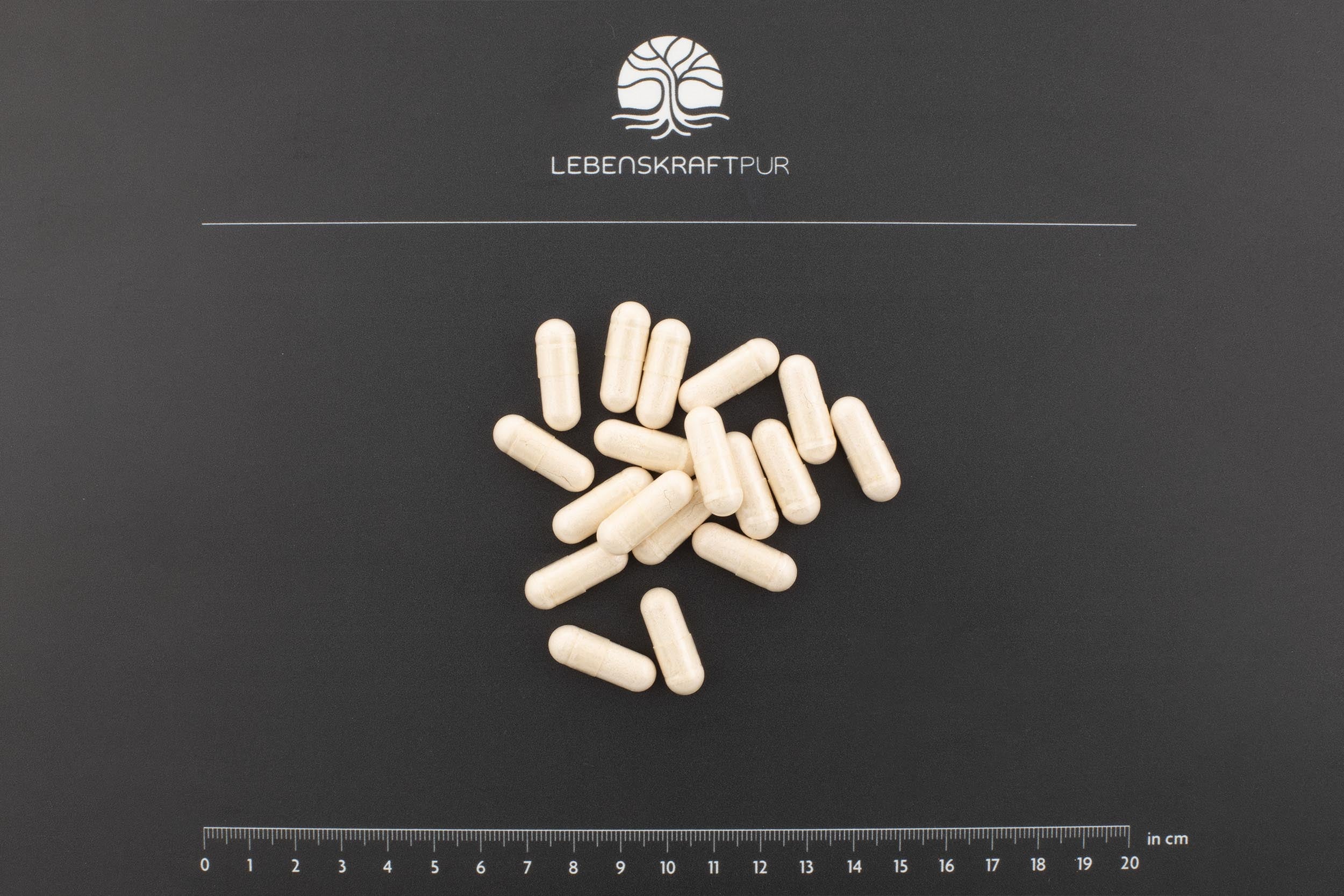 Multi Vitamineral Kapseln