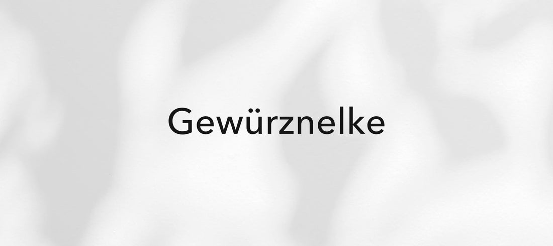 Gewürznelke (Syzygium aromaticum)