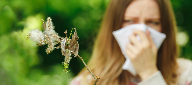 Allergie oder Erkältung? Den Unterschied sicher erkennen