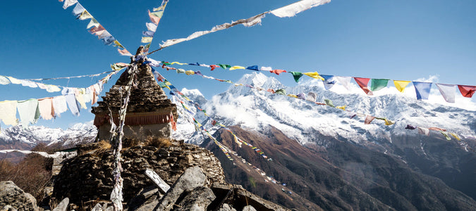 Shilajit: Wirkung und traditionelle Anwendung – Ein Überblick