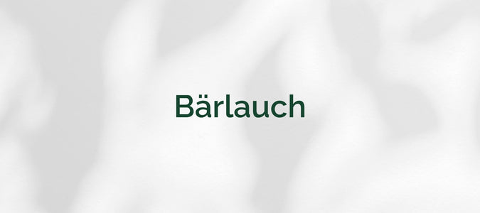 Bärlauch (Allium ursinum)