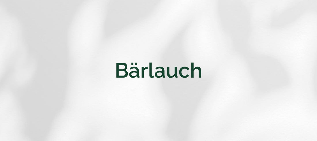 Bärlauch (Allium ursinum)