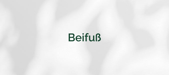 Beifuß (Artemisia vulgaris)