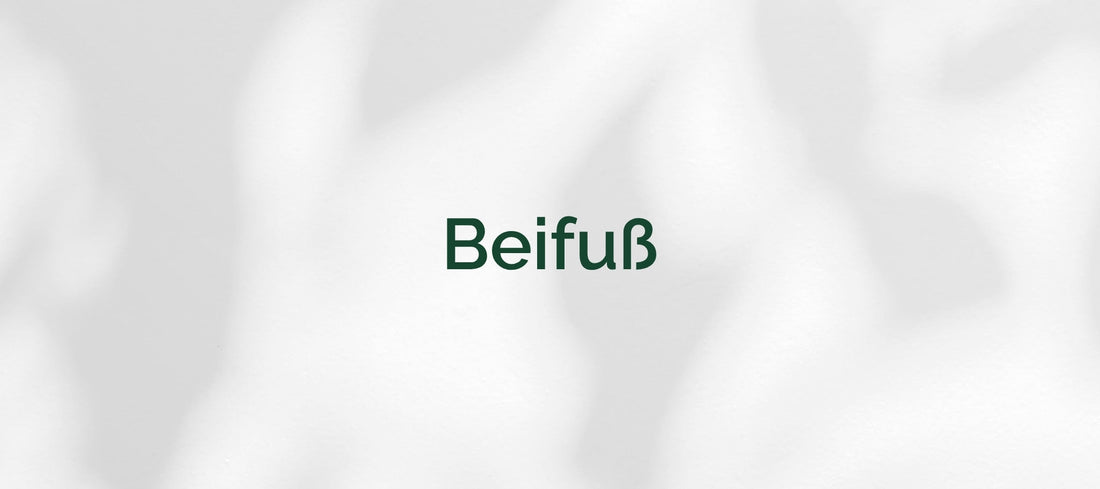 Beifuß (Artemisia vulgaris)