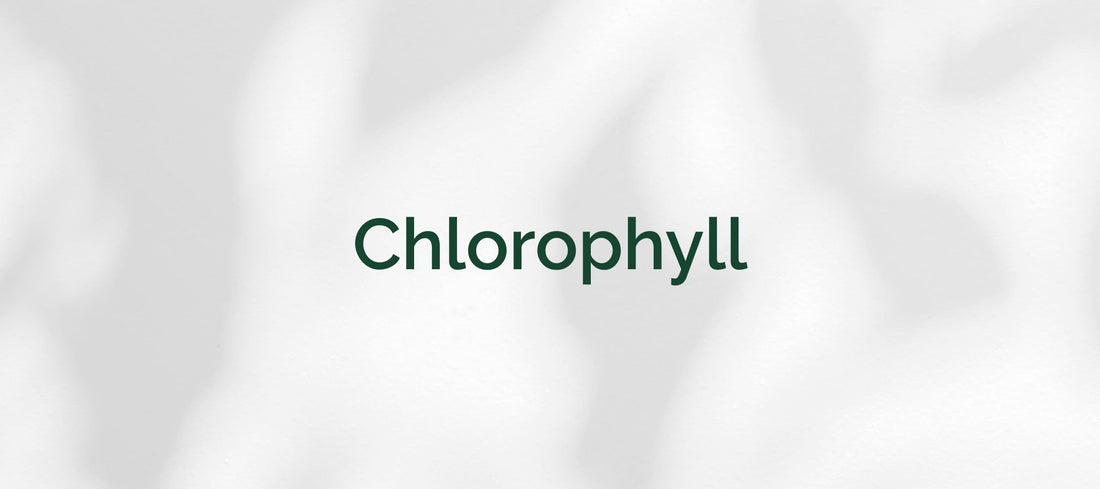 Chlorophyll