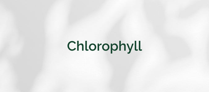 Chlorophyll