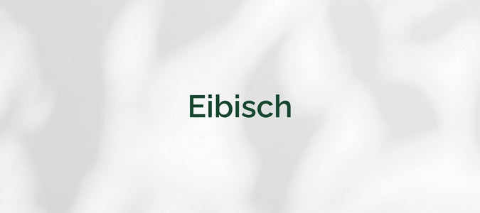 Eibisch (Althaea officinalis)
