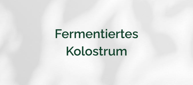 Fermentiertes Kolostrum