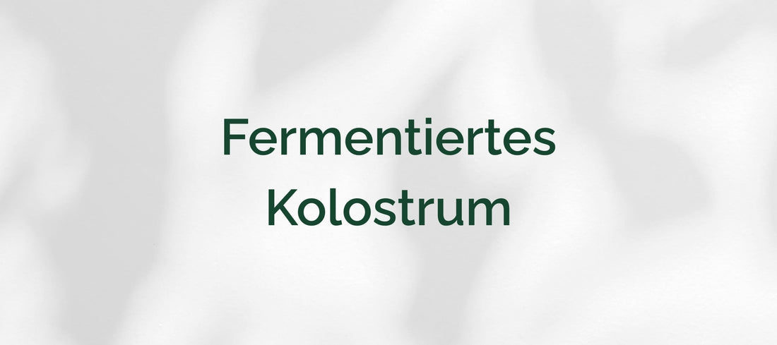 Fermentiertes Kolostrum