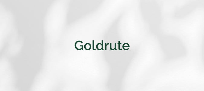 Goldrute (Solidago virgaurea)