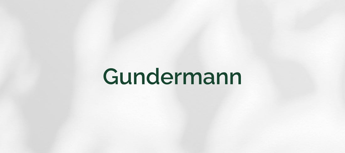 Gundermann (Glechoma hederacea)
