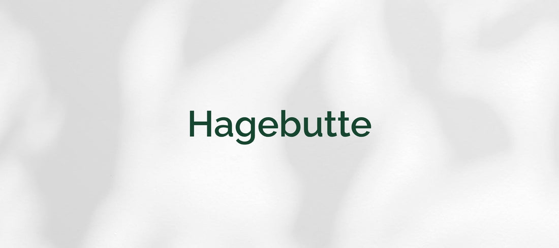 Hagebutte