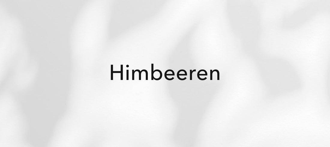 Himbeeren (Rubus idaeus)