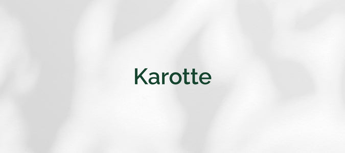 Karotte (Daucus carota subsp. sativus)