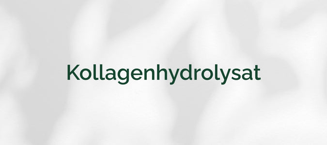 Kollagenhydrolysat