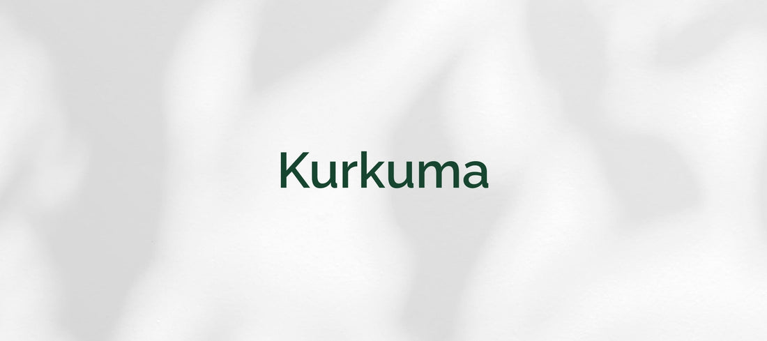 Kurkuma (Curcuma longa)
