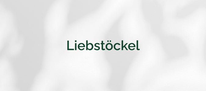 Liebstöckel (Levisticum officinale)