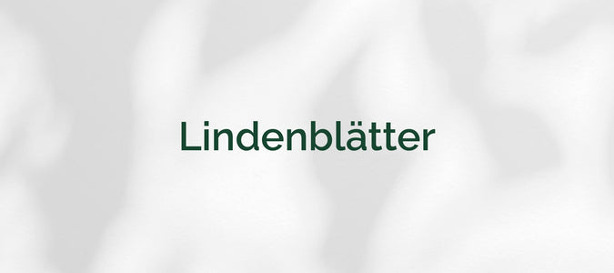 Lindenblätter