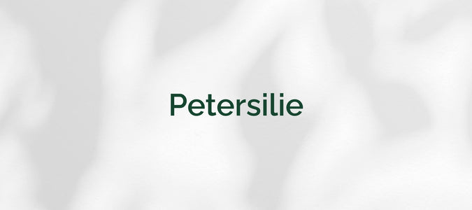 Petersilie (Petroselinum crispum)