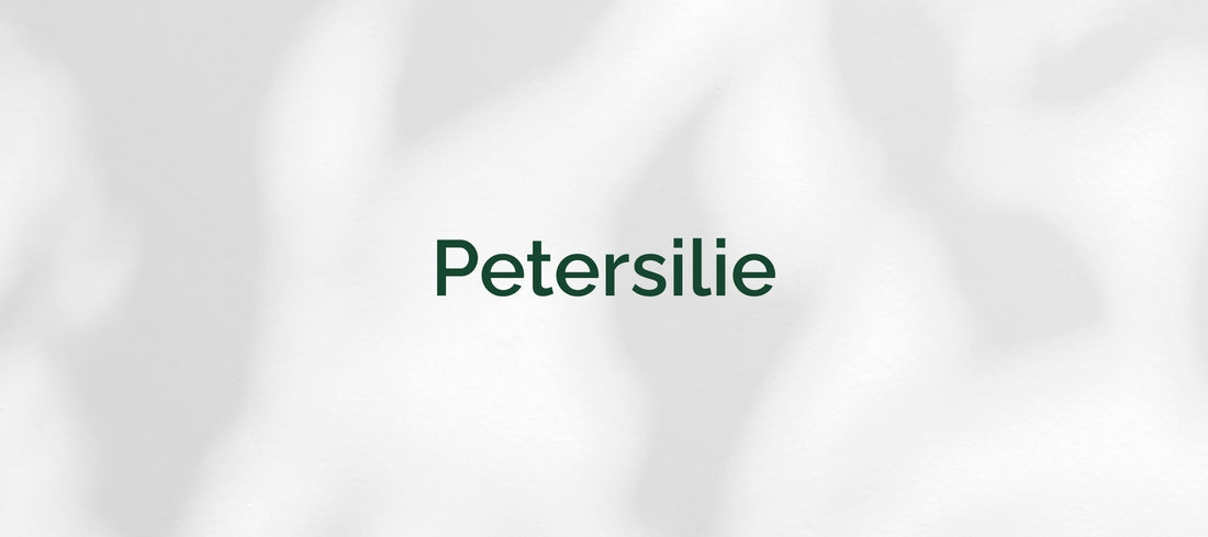 Petersilie (Petroselinum crispum)