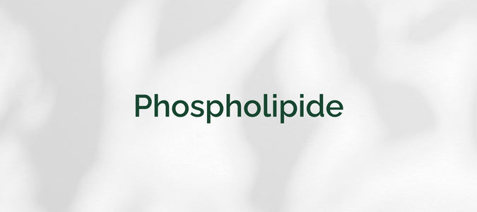 Phospholipide