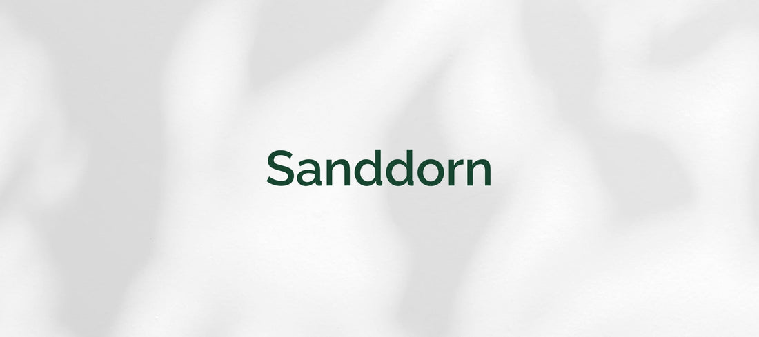 Sanddorn (Hippophae rhamnoides)