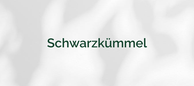 Schwarzkümmel (Nigella sativa)
