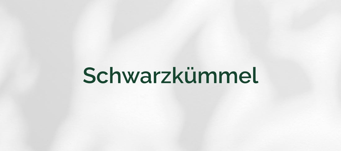 Schwarzkümmel (Nigella sativa)