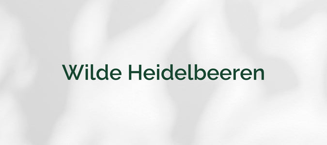 Wilde Heidelbeeren (Vaccinium myrtillus)