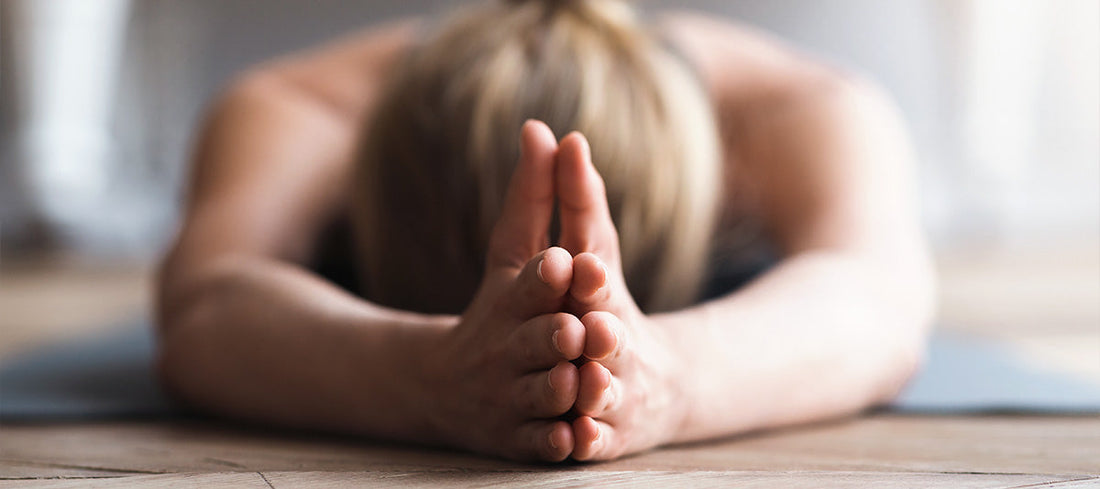 Adaptogene: Natürliche Unterstützung bei Stress