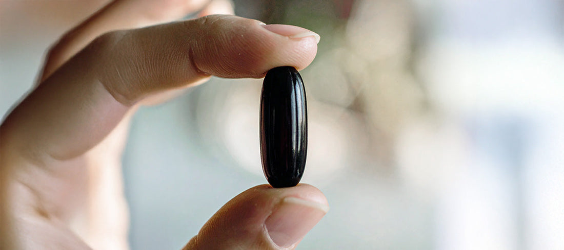Omega 3: Wirkung und Anwendungsgebiete – Ein Überblick