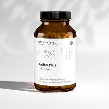Amino Plus Kapseln