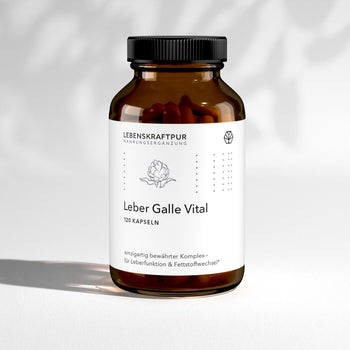 Leber Galle Vital Kapseln