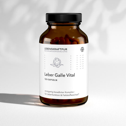 Leber Galle Vital Kapseln