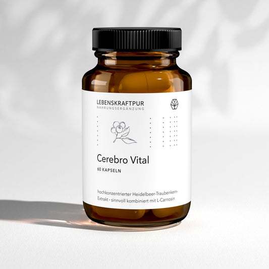 Cerebro Vital Kapseln