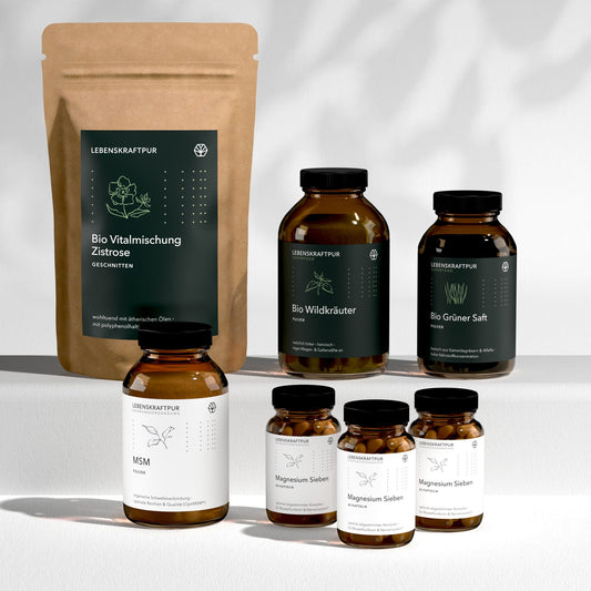 Box zum Kurs: Die 12 Säulen der Entgiftung von bio360