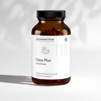 Cistus Plus Kapseln