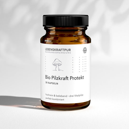 Bio Pilzkraft Protekt Kapseln