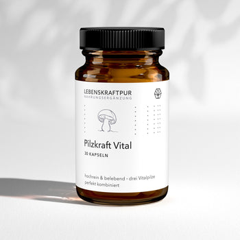 Pilzkraft Vital Kapseln