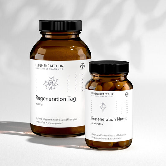 Regeneration Tag & Nacht Box