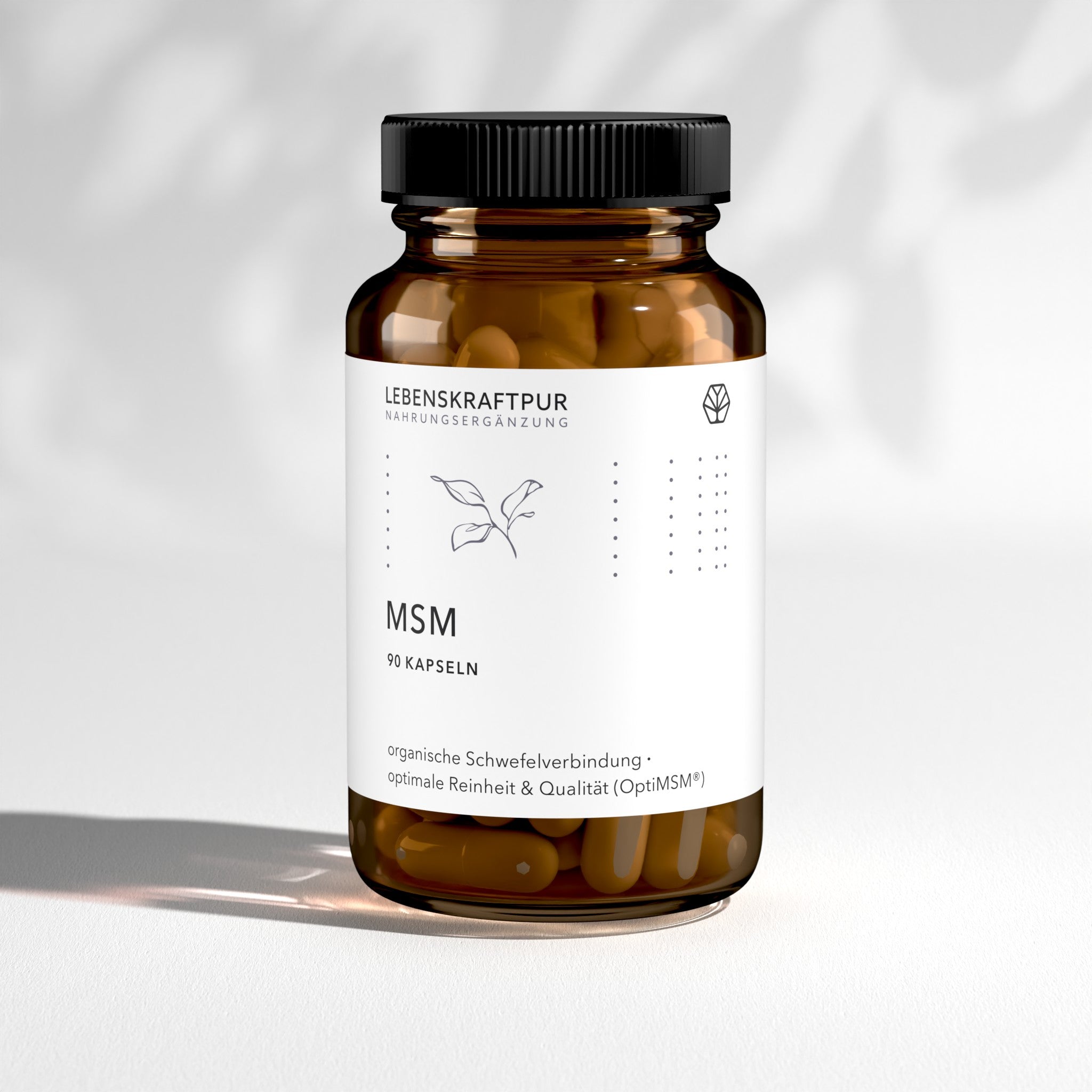 MSM Kapseln